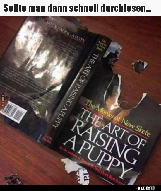 Sollte man dann schnell durchlesen...