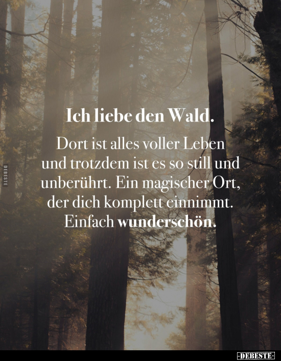 Ich liebe den Wald.. - Lustige Bilder | DEBESTE.de