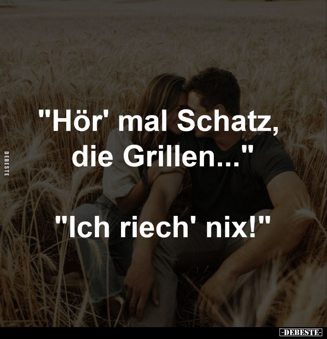 "Hör' mal Schatz, 
die Grillen..."
-
"Ich riech' nix!"