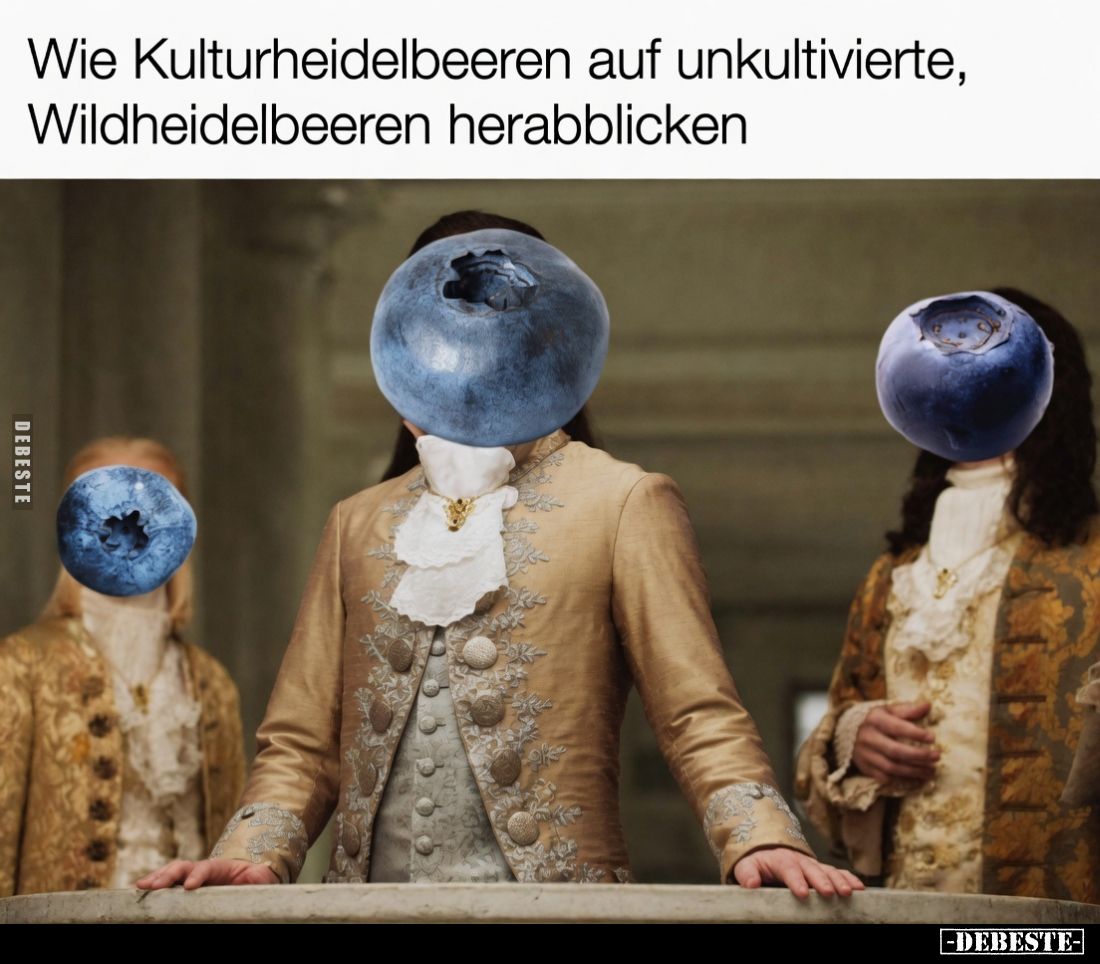Wie Kulturheidelbeeren auf unkultivierte, Wildheidelbeeren herabblicken