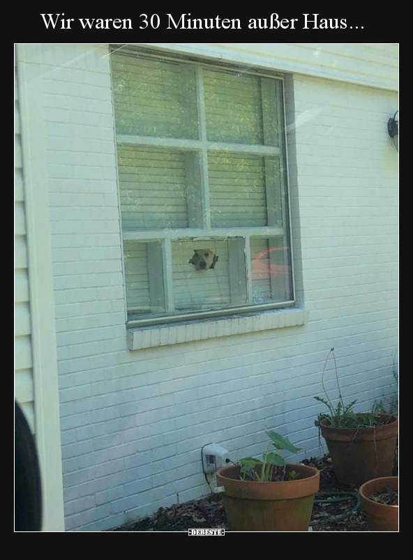 Wir waren 30 Minuten außer Haus...