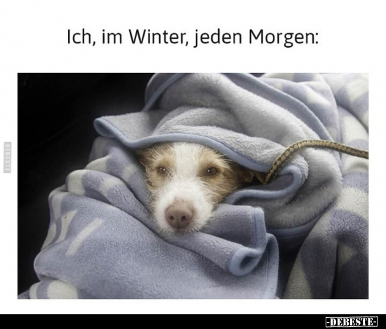 Ich, im Winter, jeden Morgen.. - Lustige Bilder | DEBESTE.de