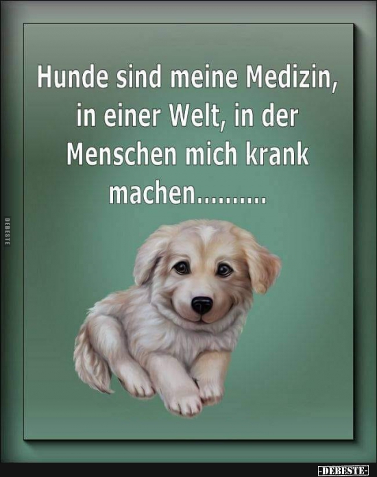 Hunde sind meine Medizin, in einer Welt..