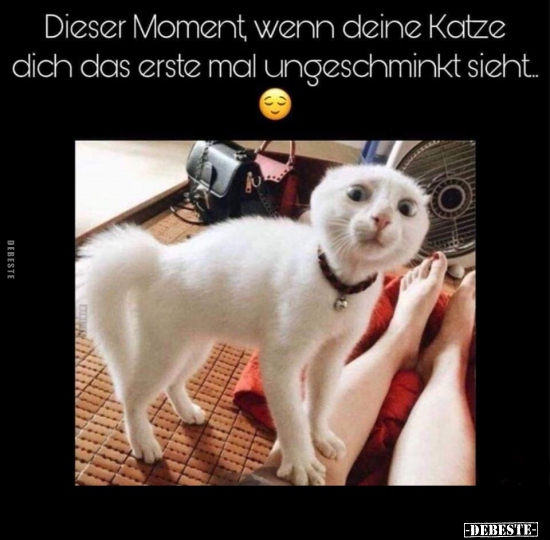 Dieser Moment wenn deine Katze dich das erste mal.. - Lustige Bilder | DEBESTE.de