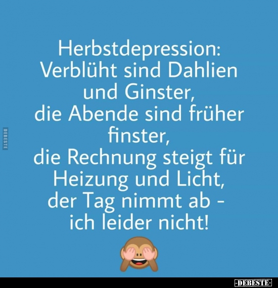 Herbstdepression: Verblüht sind Dahlien und Ginster.. - Lustige Bilder | DEBESTE.de