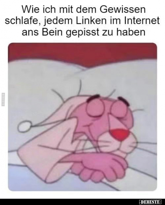 Wie ich mit dem Gewissen schlafe, jedem Linken im Internet.. - Lustige Bilder | DEBESTE.de