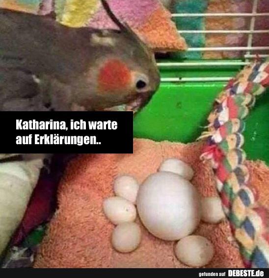 Katharina, ich warte auf Erklärungen..