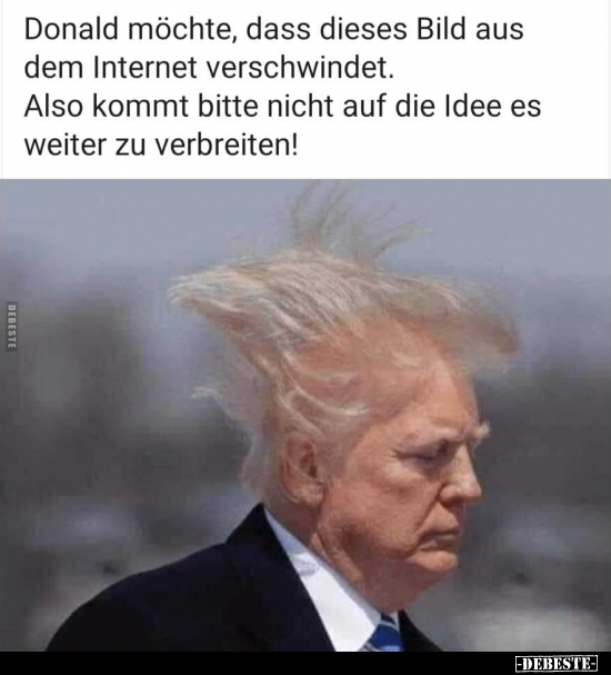 Donald möchte, dass dieses Bild aus dem Internet verschwindet... - Lustige Bilder | DEBESTE.de