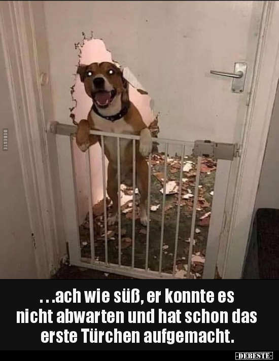 ...ach wie süß, er konnte es nicht abwarten.. - Lustige Bilder | DEBESTE.de