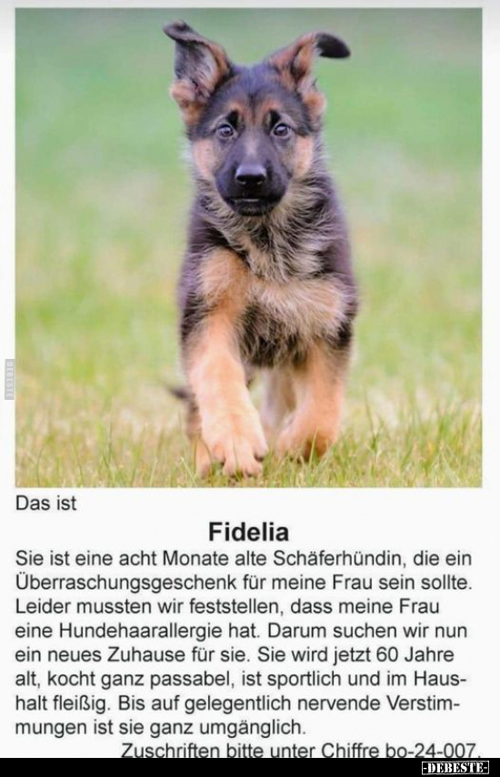 Das ist Fidelia. Sie ist eine acht Monate alte.. - Lustige Bilder | DEBESTE.de