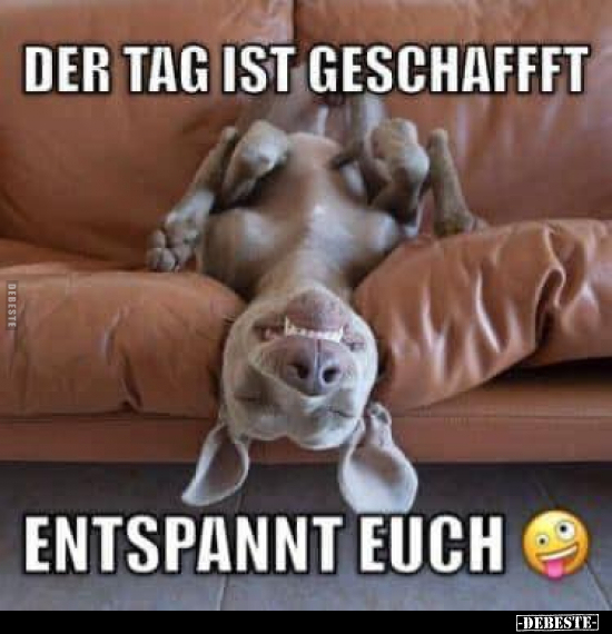 Der Tag ist geschafft.. - Lustige Bilder | DEBESTE.de