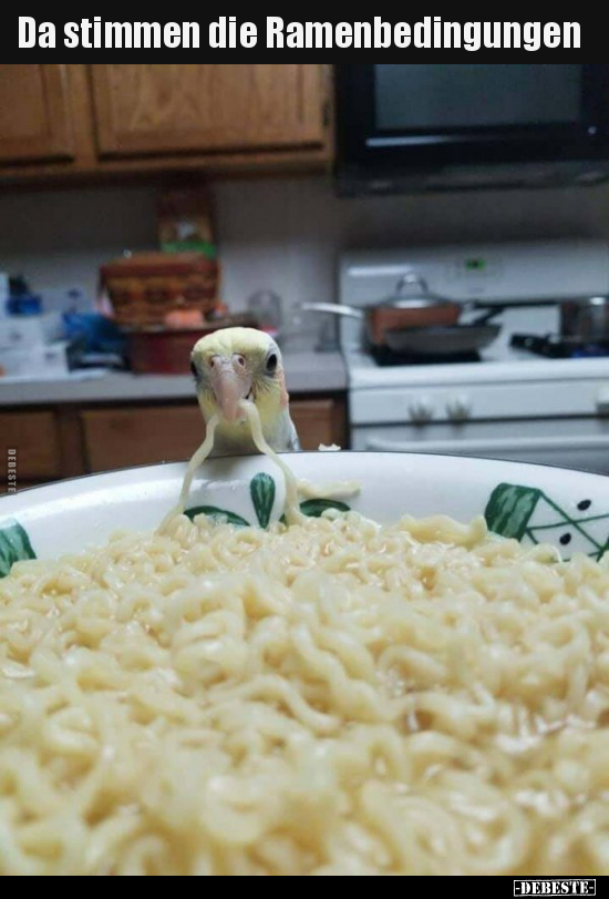 Da stimmen die Ramenbedingungen..