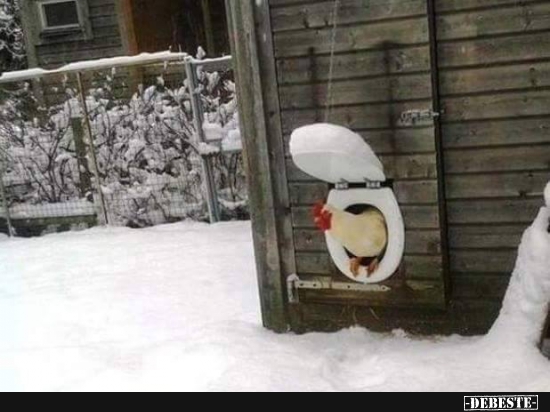  - Lustige Bilder | DEBESTE.de