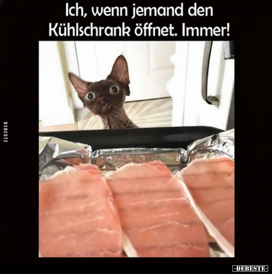 Ich, wenn jemand den Kühlschrank öffnet. Immer!.. - Lustige Bilder | DEBESTE.de