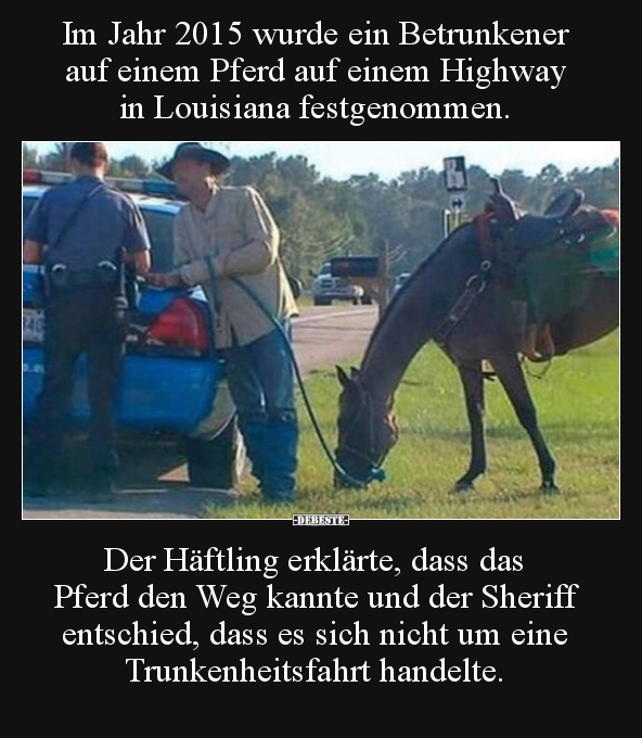 Im Jahr 2015 wurde ein Betrunkener auf einem Pferd auf.. - Lustige Bilder | DEBESTE.de