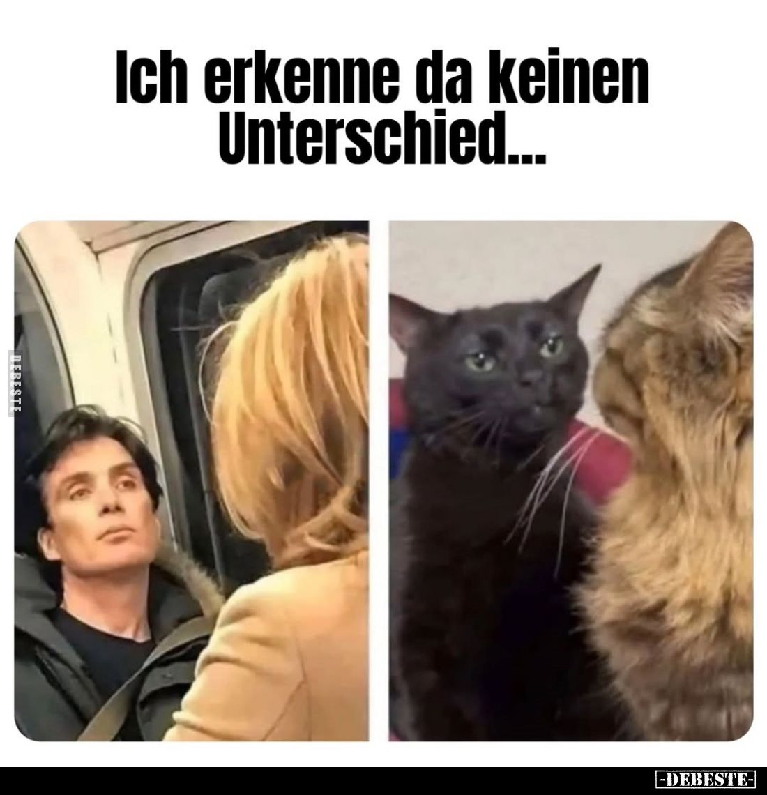 Ich erkenne da keinen Unterschied...