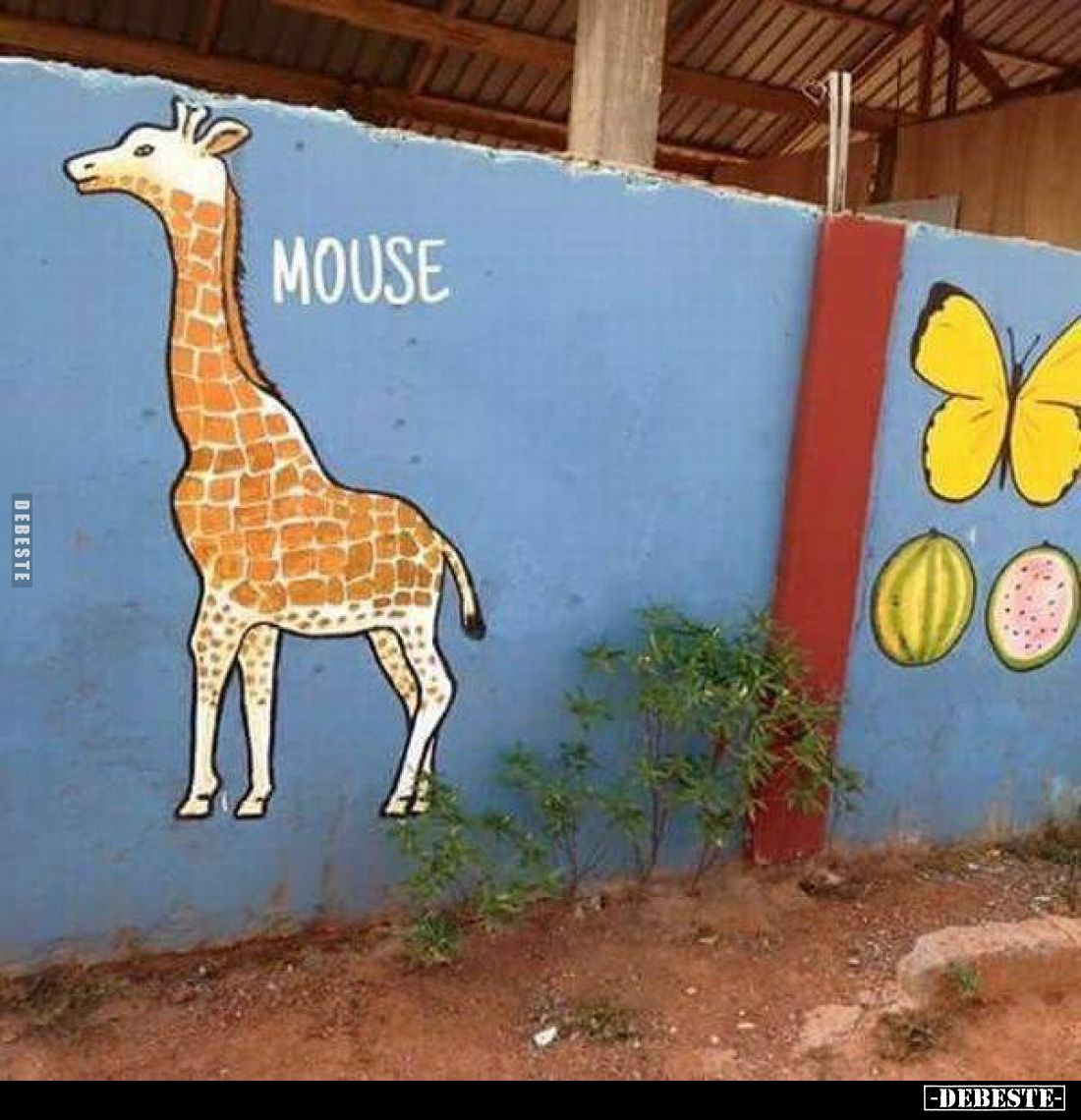 MOUSE