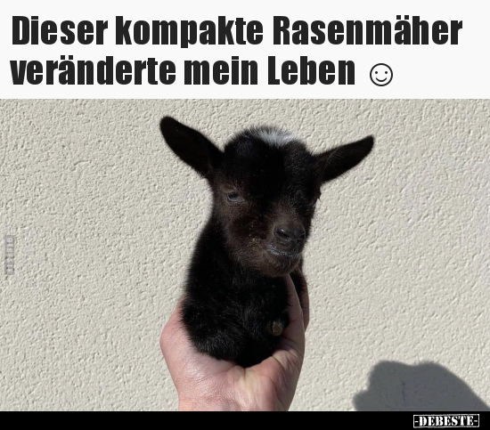 Dieser kompakte Rasenmäher veränderte mein Leben ☺..