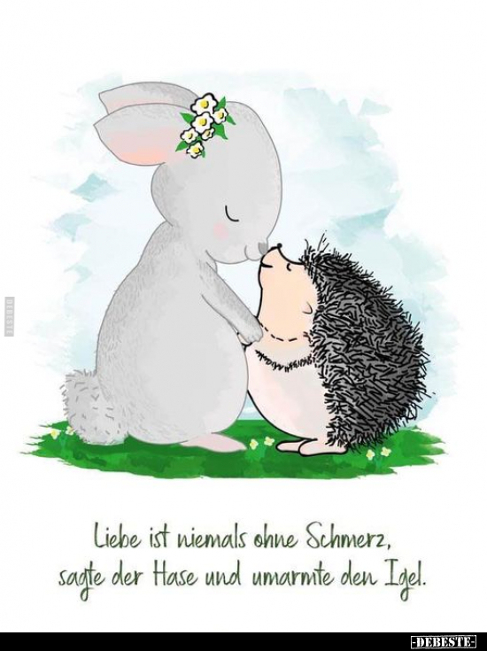 Liebe ist niemals ohne Schmerz, sagte der Hase.. - Lustige Bilder | DEBESTE.de