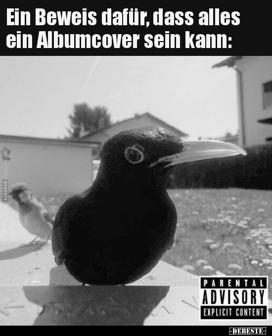 Ein Beweis dafür, dass alles ein Albumcover sein kann.. - Lustige Bilder | DEBESTE.de