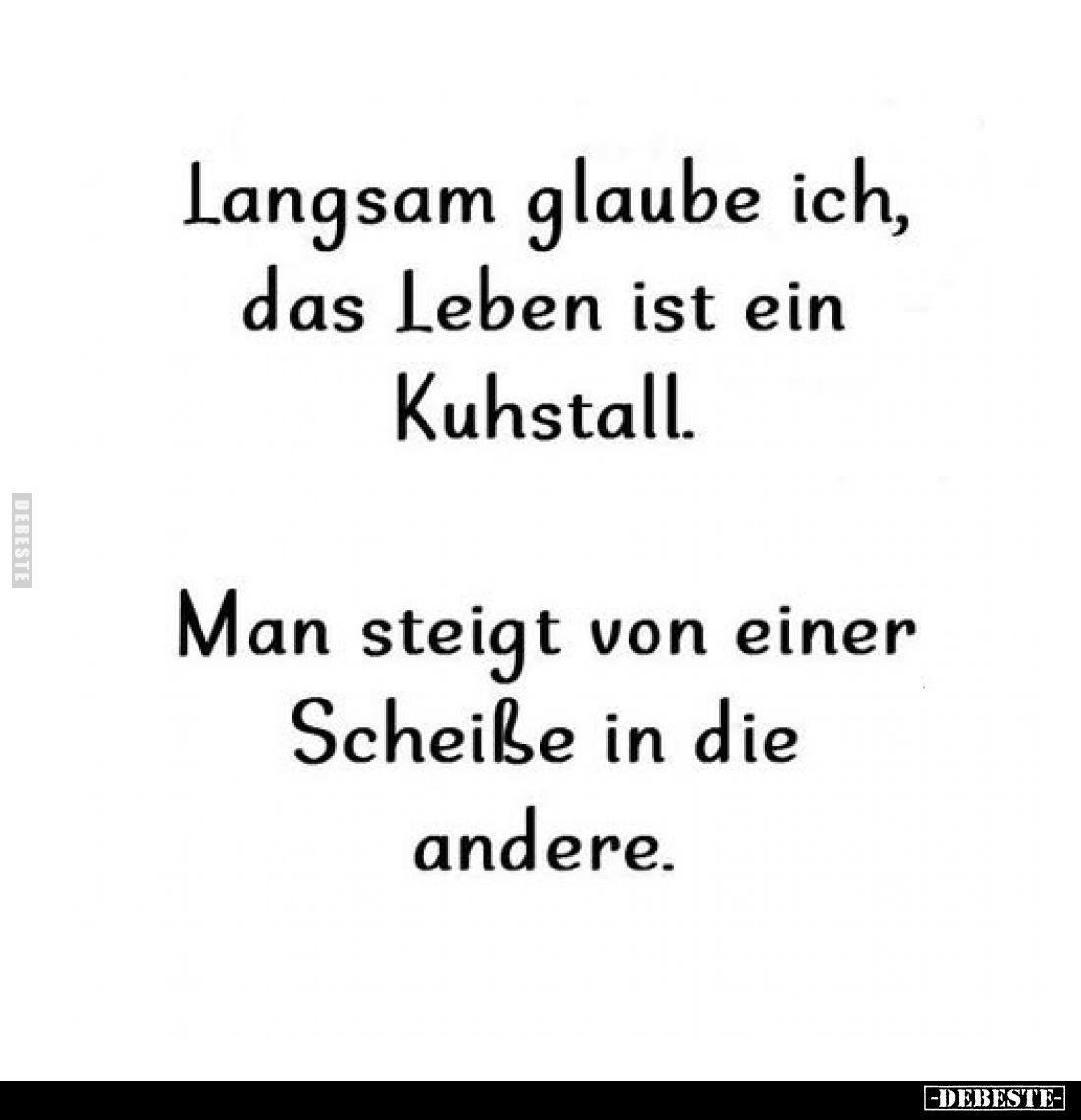 Langsam glaube ich, das Leben ist ein Kuhstall.
Man steigt von einer Scheiße in die andere.