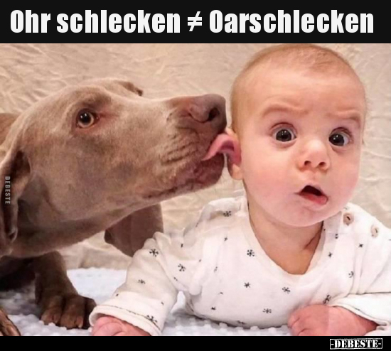 Ohr schlecken ≠ Oarschlecken.. - Lustige Bilder | DEBESTE.de
