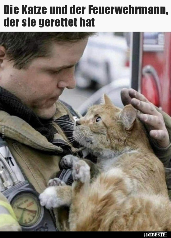 Die Katze und der Feuerwehrmann, der sie gerettet hat.. - Lustige Bilder | DEBESTE.de