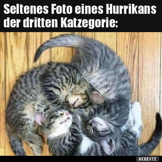 Seltenes Foto eines Hurrikans der dritten Katzegorie.. - Lustige Bilder | DEBESTE.de