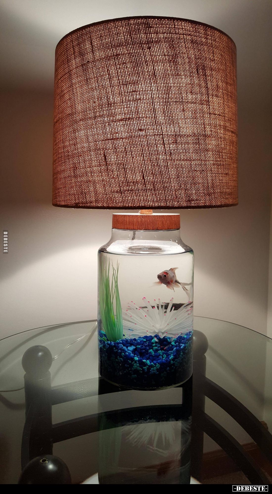  - Lustige Bilder | DEBESTE.de