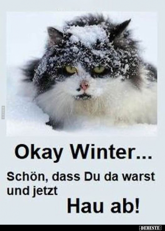 Okay Winter... - Lustige Bilder | DEBESTE.de