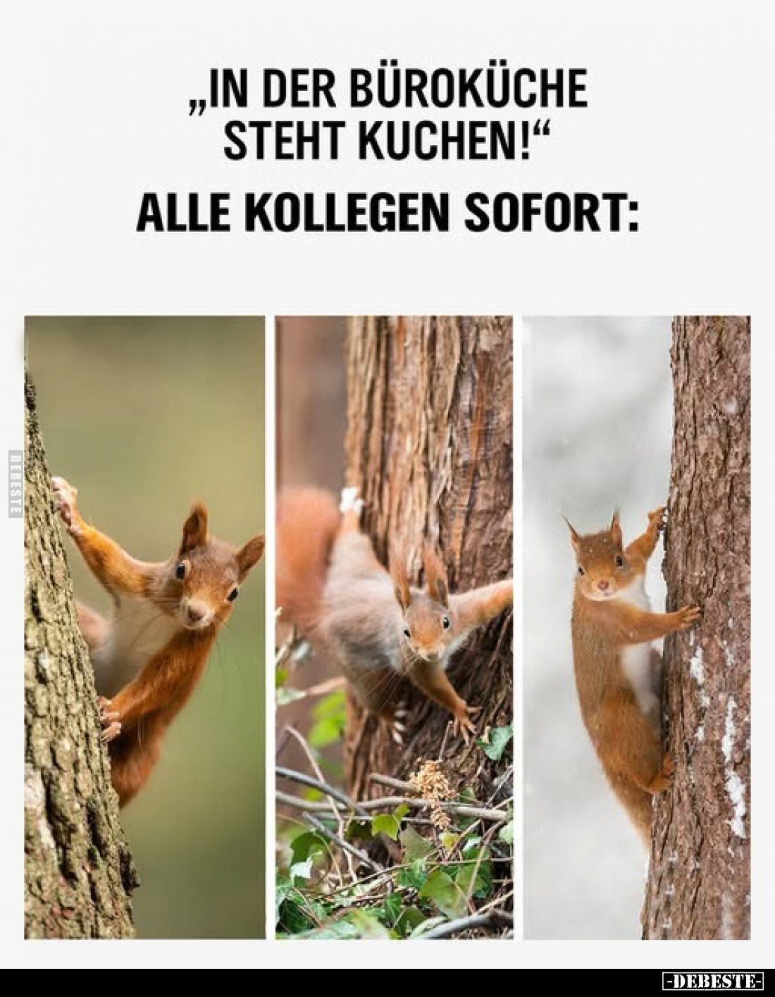 „In der Büroküche steht Kuchen!"
Alle Kollegen sofort: