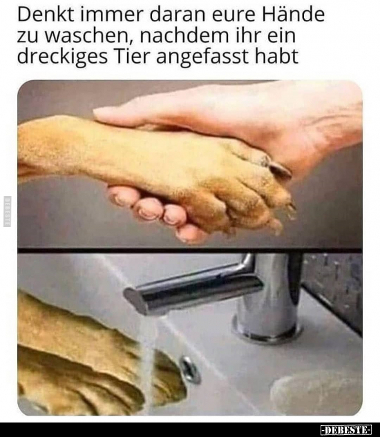 Denkt immer daran eure Hände zu waschen, nachdem ihr.. - Lustige Bilder | DEBESTE.de