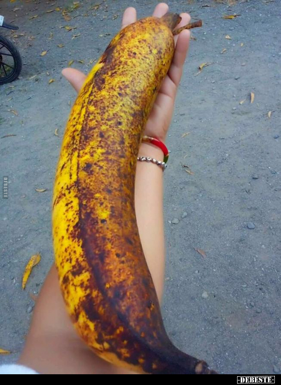  - Lustige Bilder | DEBESTE.de