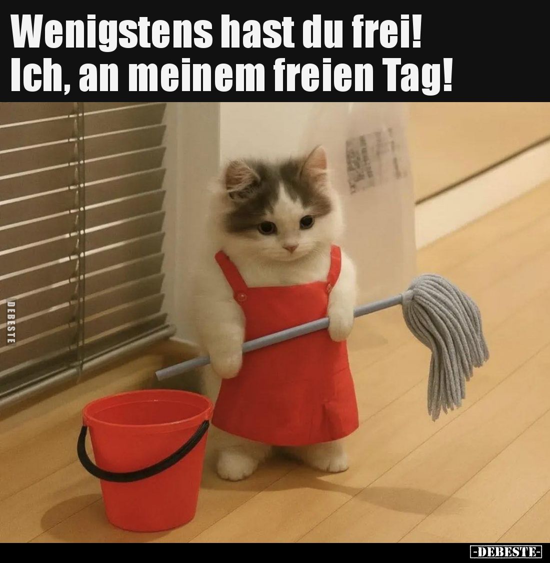 Wenigstens hast du frei! Ich, an meinem freien Tag!