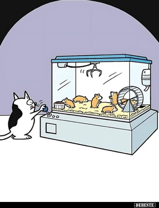  - Lustige Bilder | DEBESTE.de