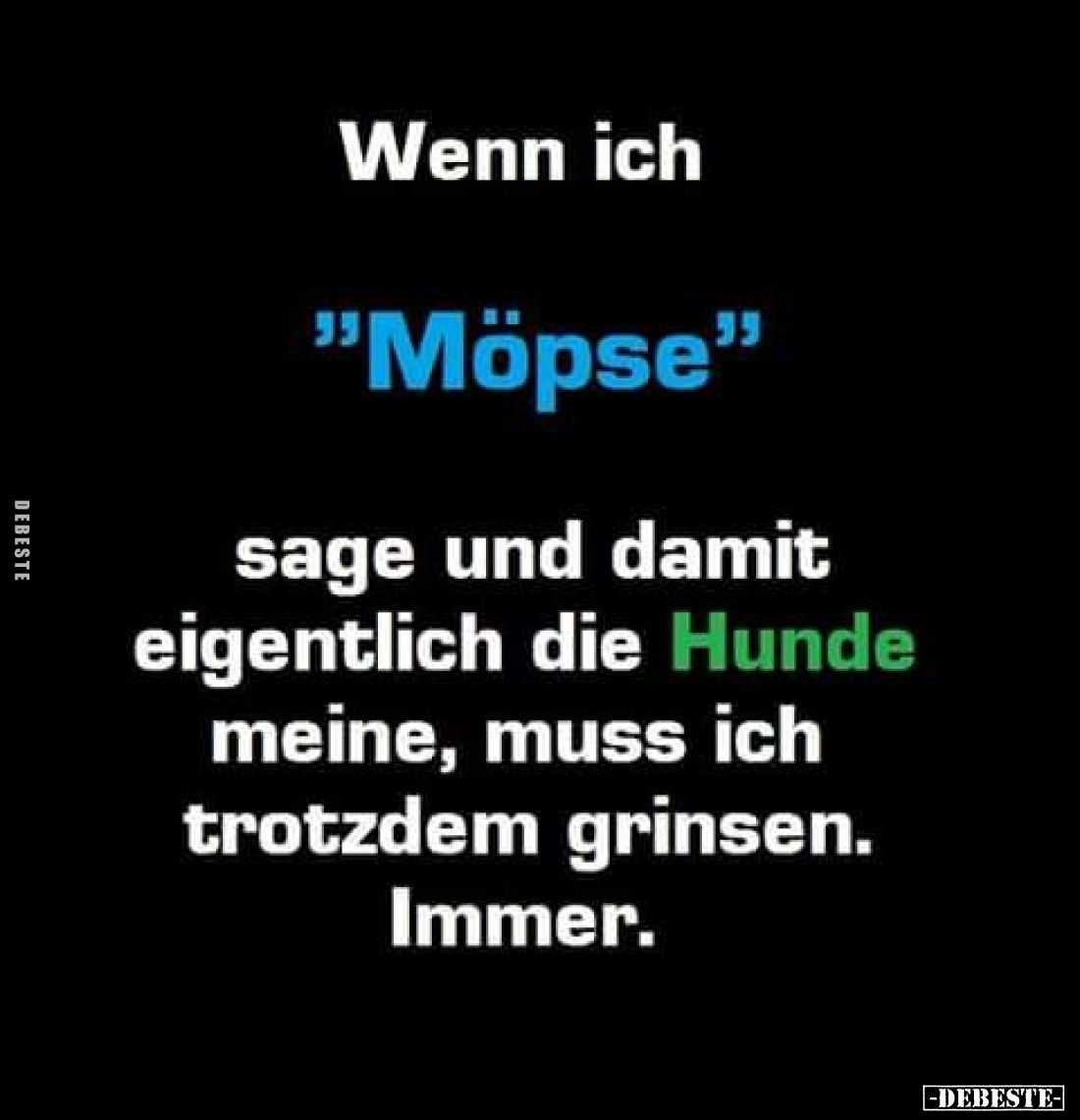 Wenn ich
"Möpse"
sage und damit eigentlich die Hunde meine, muss ich trotzdem grinsen.
Immer.