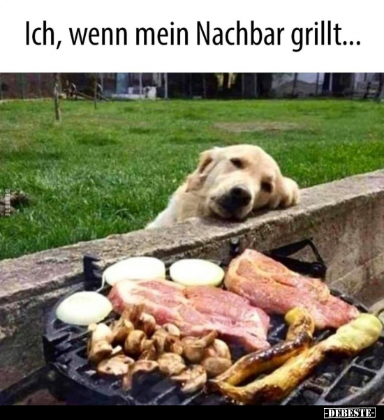 Ich, wenn mein Nachbar grillt... - Lustige Bilder | DEBESTE.de