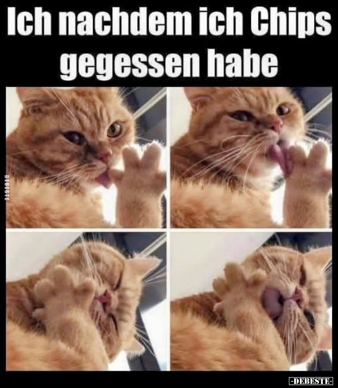 Ich nachdem ich Chips gegessen habe