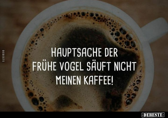 Hauptsache der frühe Vogel säuft nicht meinen Kaffee!.. - Lustige Bilder | DEBESTE.de