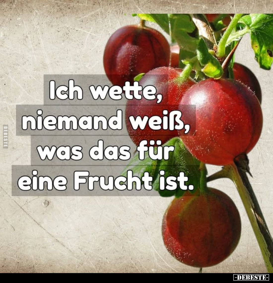 Ich wette, niemand weiß, was das für eine Frucht ist.