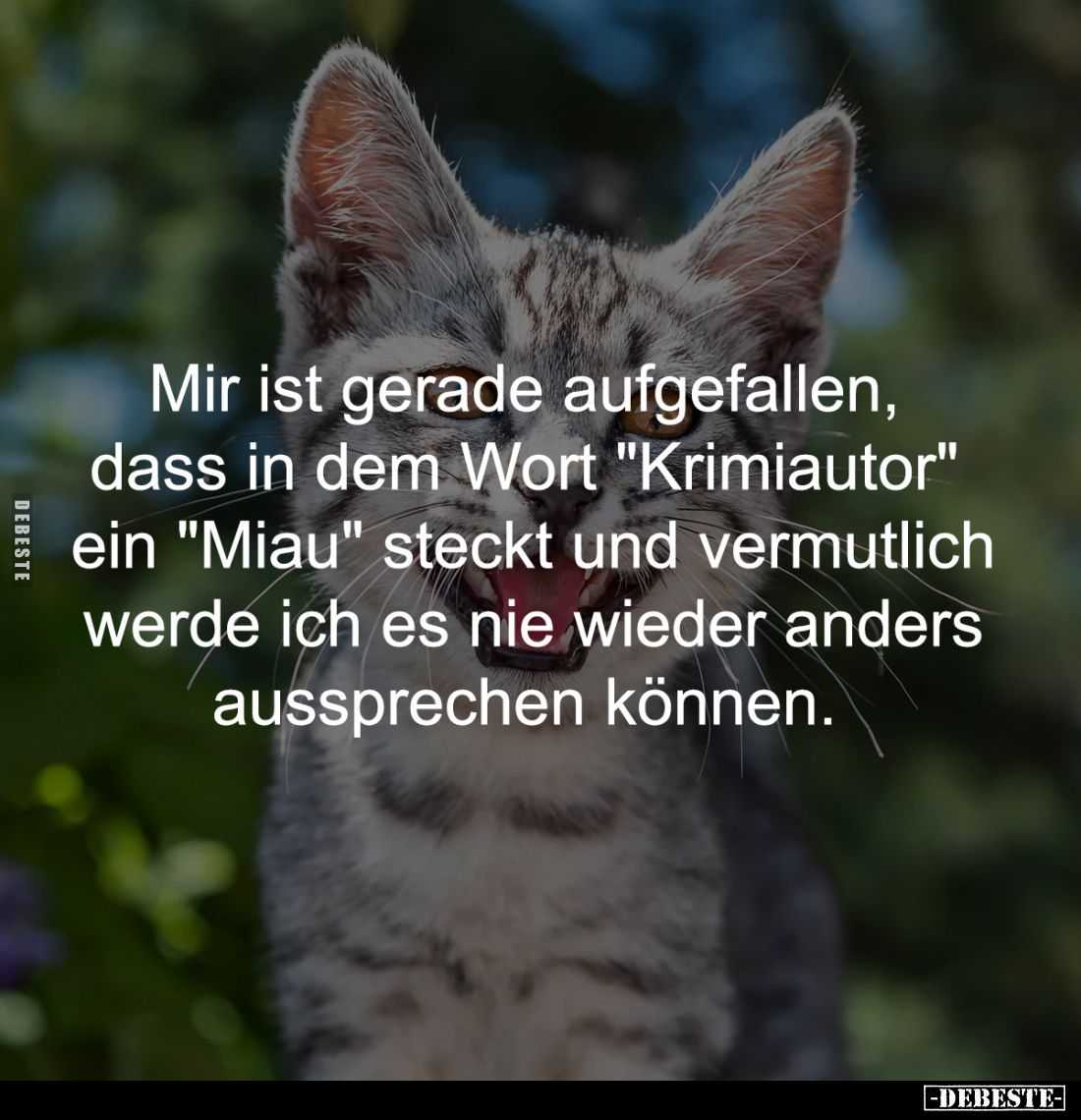 Mir ist gerade aufgefallen, 
dass in dem Wort "Krimiautor" 
ein "Miau" steckt und vermutlich
werde ich...