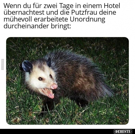 Wenn du für zwei Tage in einem Hotel übernachtest und die.. - Lustige Bilder | DEBESTE.de