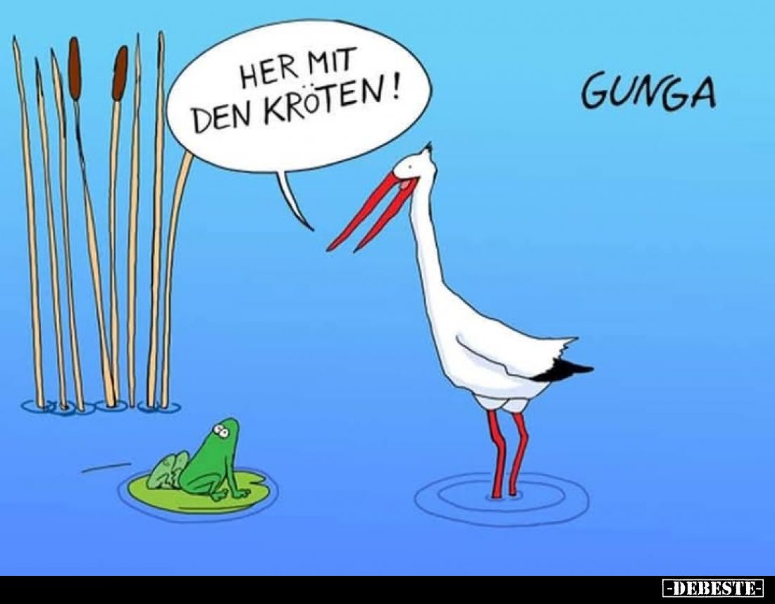 Her mit den Kröten!