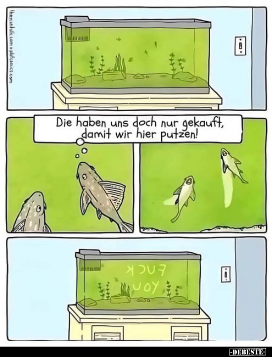 Die haben uns doch nur gekauft.. - Lustige Bilder | DEBESTE.de