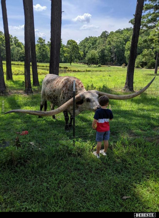  - Lustige Bilder | DEBESTE.de