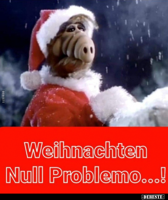 Weihnachten -  Null Problemo...!.. - Lustige Bilder | DEBESTE.de