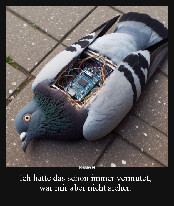 Ich hatte das schon immer vermutet, war mir aber nicht.. - Lustige Bilder | DEBESTE.de