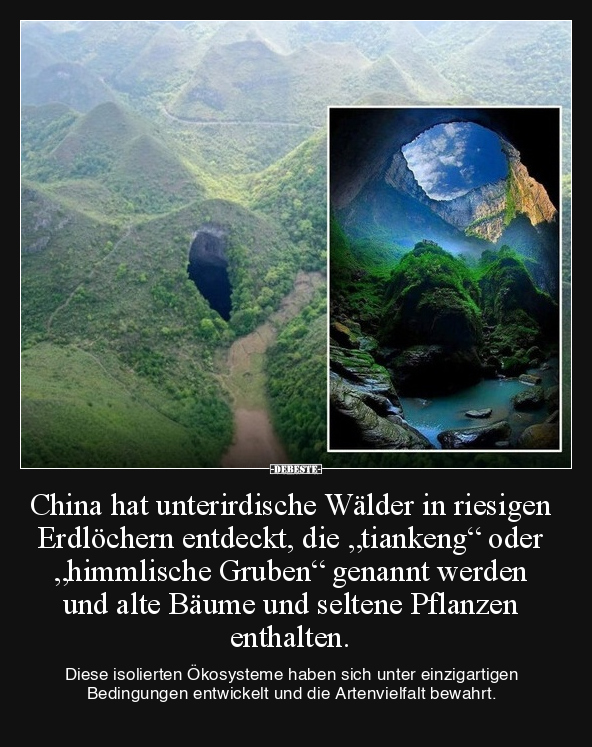 China hat unterirdische Wälder in riesigen Erdlöchern.. - Lustige Bilder | DEBESTE.de