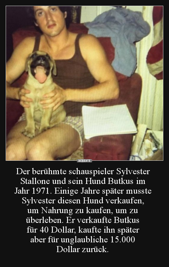 Der berühmte schauspieler Sylvester Stallone und sein Hund.. - Lustige Bilder | DEBESTE.de