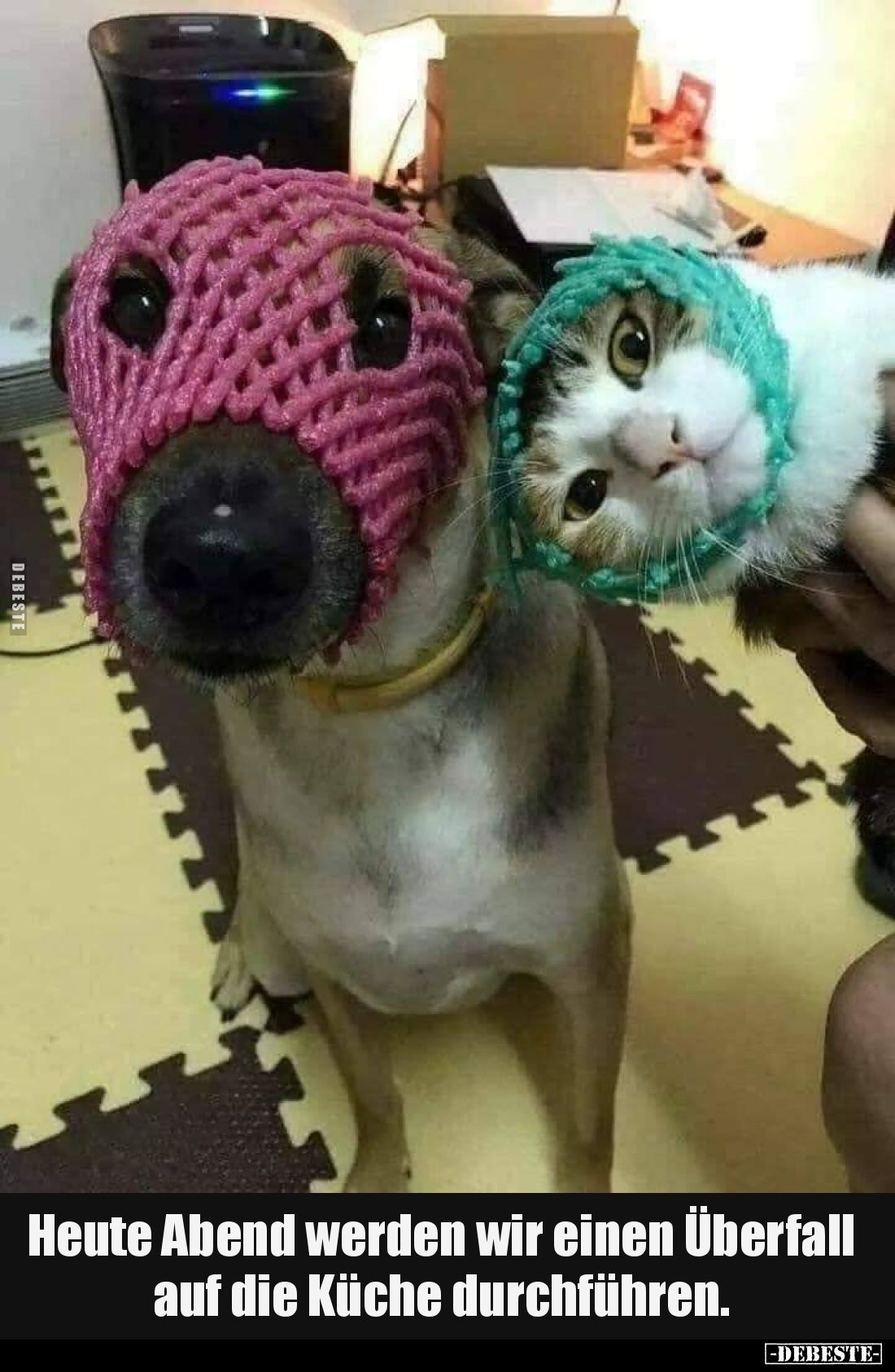 Heute Abend werden wir einen Überfall auf die Küche durchführen.